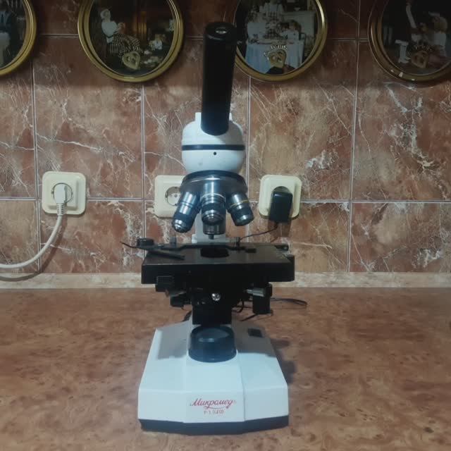 Оптическая микрофотография. Начало пути #фотография#микрофотография#микроскоп смотреть онлайн