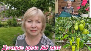 Аномальный май.То холод,то жара.Боремся с перегревом и засухой.ТОМАТЫ и ПЕРЕЦ обзор