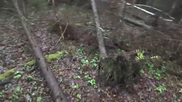 Загонная охота с лайками 720p смотреть онлайн