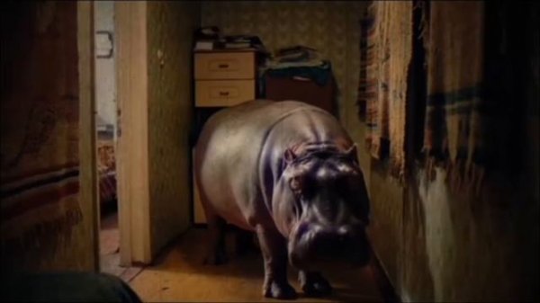 VID_20250530_230052_711.mp4