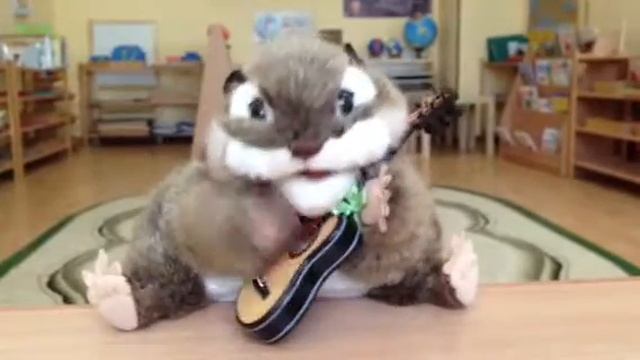 Бурундук Буба - Баллада о любви смотреть онлайн