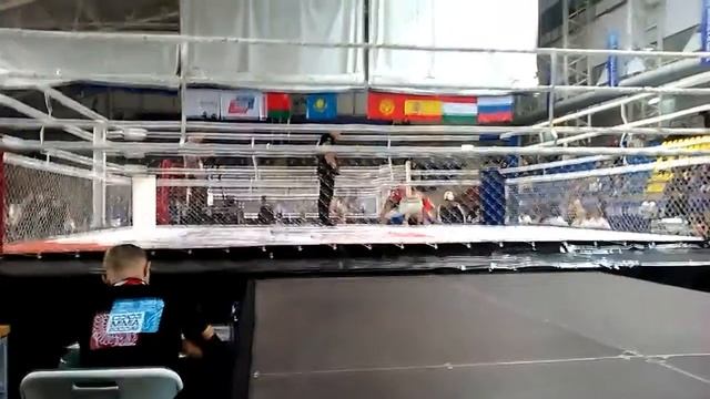 Эльвин раунд 2 смотреть онлайн