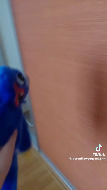хаги ваги 💙💙💙💙💙 смотреть онлайн