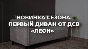 ЯРКАЯ НОВИНКА СЕЗОНА: ПЕРВЫЙ ДИВАН ОТ ДСВ «ЛЕОН»