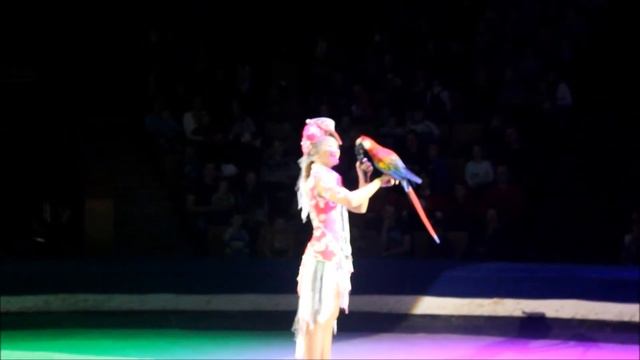 цирк! цирк! цирк!