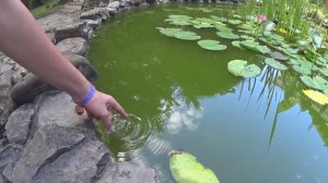 Санаторий "Прометей" п. Небуг. Обзор детской территории.