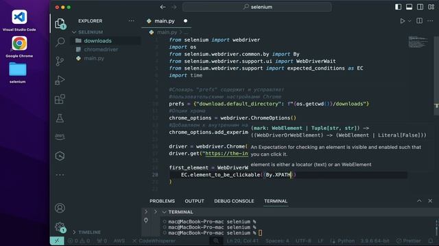 Скачивание та загрузка файлов Selenium | урок 5 | Selenium + Python ? смотреть онлайн