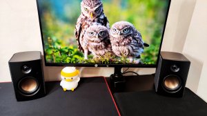 Обзор колонок 2.0 Swan OS-10