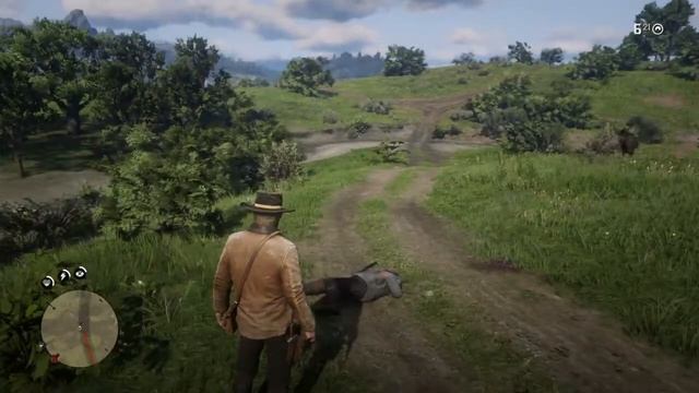 Прохождение  Red Dead Redemption 2 Серия 14  Ловец душ человеческих