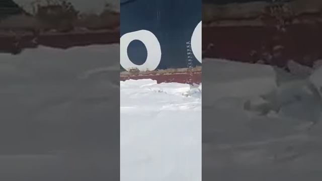 Росатомфлот Ледокол Таймыр