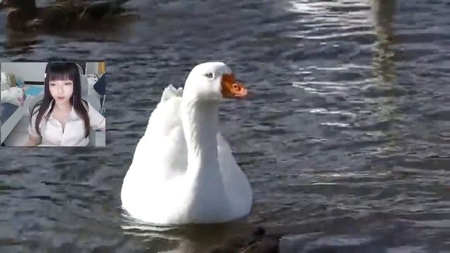 История из жизни  Согласны быть моим мужем Автор Матус