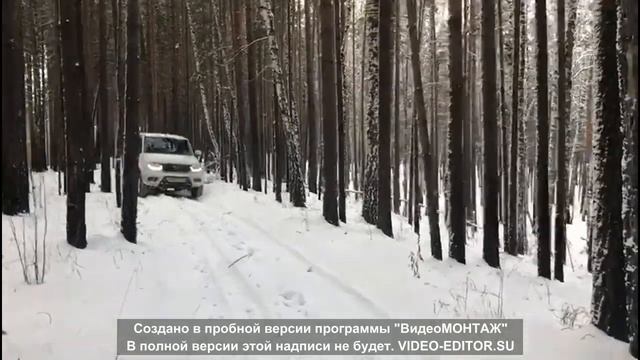 Выезд в лес 11 11 18 смотреть онлайн