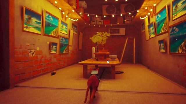 Stray прохождение без комментариев часть 5  PS5 60FPS  Stray прохождение на русском часть 5