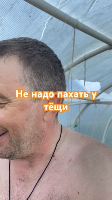 Электрический культиватор, патриот. #собака #мопс #юмо? смотреть онлайн