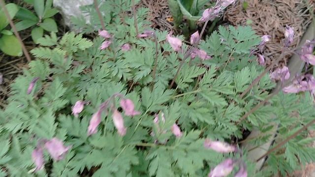 Хосты без названий, май 2025 смотреть онлайн