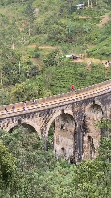 Хотели бы прокатиться по Девятиарочному мосту на Шри-Ланке? ❤️ смотреть онлайн