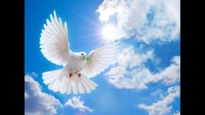 Душа моя болит   рэп версия — сделано в Clipchamp 1