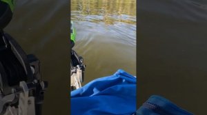 Обзор лодочного мотора GreenWorks 40 v как докатка на катере