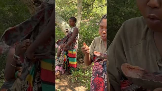 Жизнь Африканских племен, племя бушменов смотреть онлайн