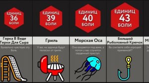 Не Садитесь На Эти Вещи!