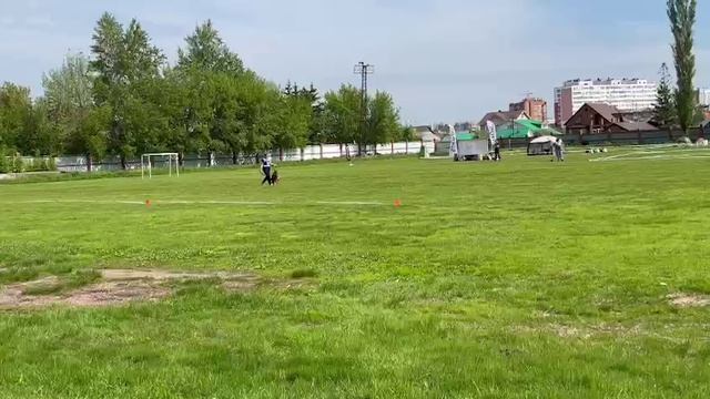 2 Отл. СС Аллемо Хаус ШЕЛЕСТ +++ №20 / КЧК УФА 17 мая`25 Н.Морева Моно немецких овчарок