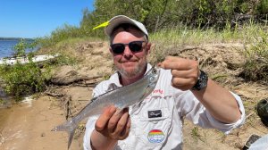 С фидером за чехонью. Ловля на мелководье.