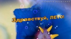 Здравствуй, лето! С первым днем лета!