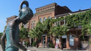 Абхазия.Сухум.Май 2025 г..