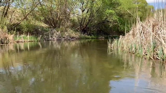 Сплав река Олым. 65км. Набережное -Весёлая. смотреть онлайн