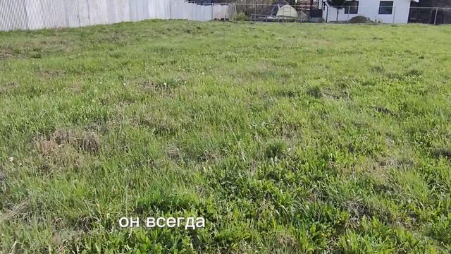 Земельный участок 13 сот. в д. Волгучинская смотреть онлайн