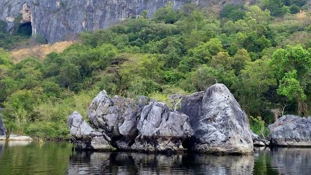 Дикий Таиланд. Болото, которое никого не оставит равнодушным смотреть онлайн