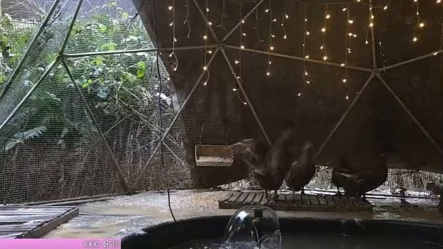 Обнаглевшая свекровь быстро забыла, что живет в моей к