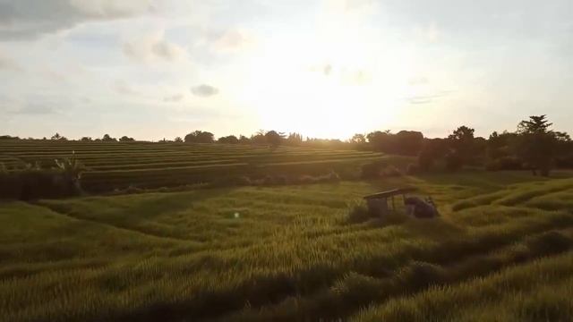 Интересные истории. Муж изменил жене с молодой любовн? смотреть онлайн