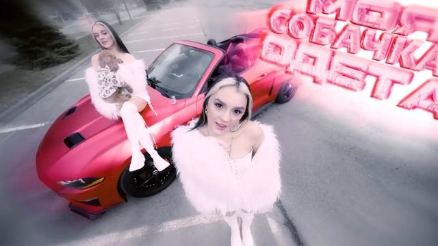 клип Дарьяна Джус моя собачка одета дороже тебя смотреть онлайн