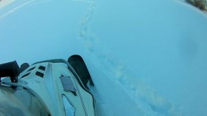 Снегоход Тайга с Лифаном 20. Расход бензина.