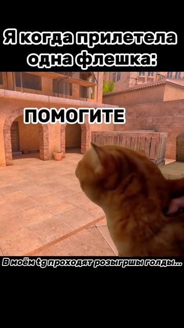 ГОУ ЛАЙК ЗА КОТИКА  фантурик standoff2 standoff стандофф2 gaming meme мемы мем shorts