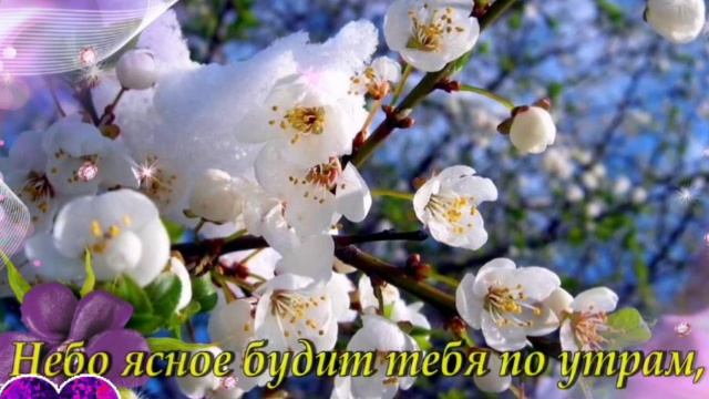 ДО СВИДАНИЯ, ВЕСНА! 💚 ЗДРАВСТВУЙ, ЛЕТО! 🌞🌺🌼 смотреть онлайн
