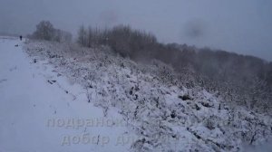 ОХОТА НА ЗАЙЦА РУСАКА С КУРЦХААРОМ