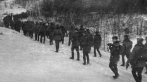 Форст-Цинна: Нас миллионы, кто в Германии служил...