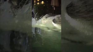 ЧТО НЕ ТАК С МОИМ СЕКРЕТАРЕМ?丨04 серия丨русская озвучк?