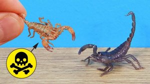 Вот почему Скорпион может умереть семь раз в течении жизни!