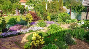 Дача на пороге лета🤗Садовые хлопоты🌸🌿🌞