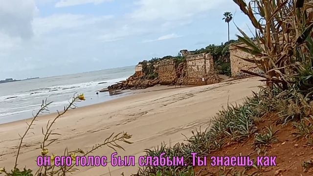 💗Я ЗАБЫЛА СВОИ ПРАВА, ВЕРНУВШИСЬ ДОМОЙ УСЛЫШАЛА СОБЛ? смотреть онлайн