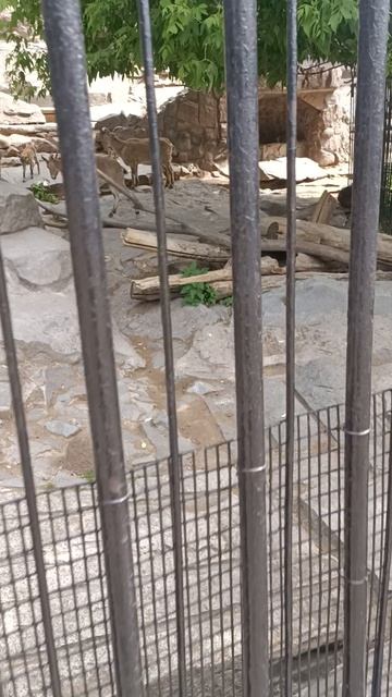 11 часть смотреть онлайн