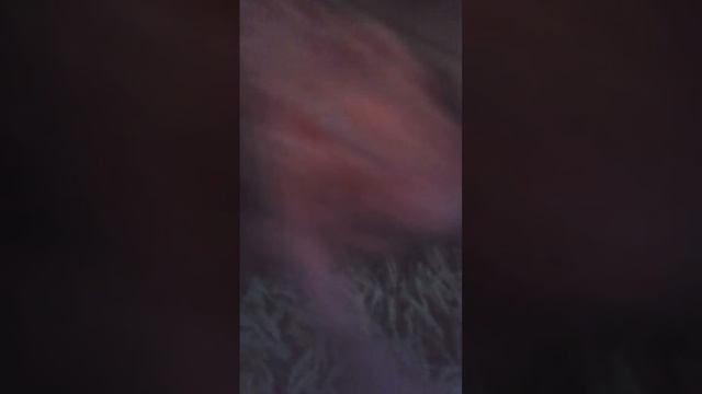 как сделать подушку для мягких игрушек💐