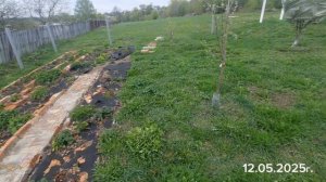 Закончили разводку воды в хоз.блоке! Клумба под яблоней.