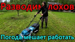 Серега привез лохов, будем их разводить. Сажаем огурцы. Погода мешает продолжать строительные работы