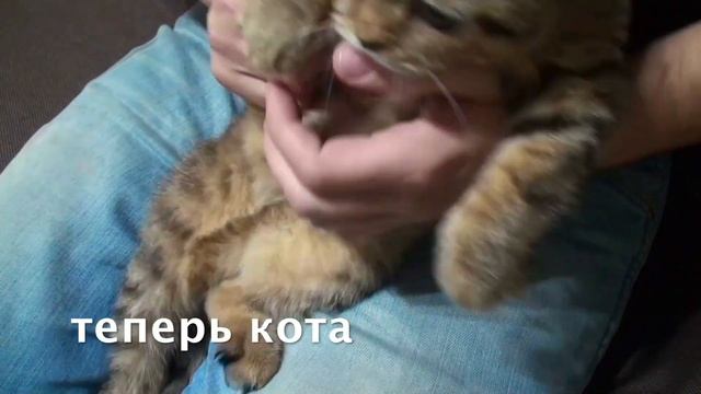 только для поклонников МИТИ, он семь лет на канале - КА?