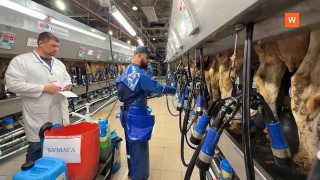 Итоговая программа «Город» от 30 мая 2025 года смотреть онлайн