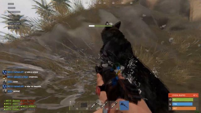 RUST Как правильно убивать новых волков смотреть онлайн